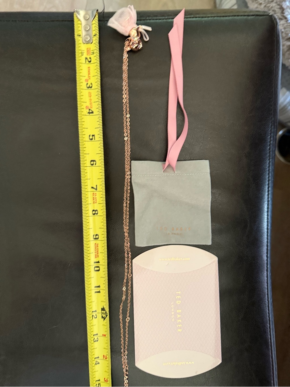 Ted Baker Pink Jewelry Pouch with Rose Gold Chain